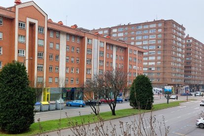 A mediodía de este domingo los primeros copos cayeron tímidamente y casi de forma imperceptible en la ciudad de Burgos.