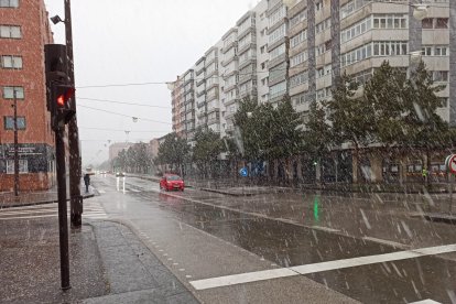 Imagen de la nevada en el bulevar.