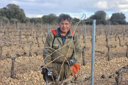 Honorio es viticultor y el presidente de la cooperativa de Milagros