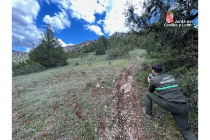 Roderas provocadas por el paso de las motos.