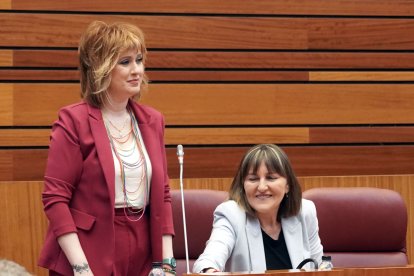 Eva Ceballos, procuradora del PSOE por Burgos