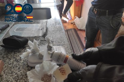 Imagen de la droga incautada.