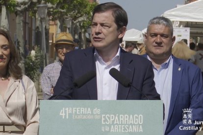 El presidente de la Junta de Castilla y León, Alfonso Fernández Mañueco, inaugura la 41 Feria de Exaltación del Espárrago y de la Artesanía de Tudela de Duero.
