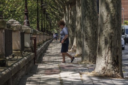 Acera deteriorada de la avenida Arlanzón, en el lado más cercano al río.