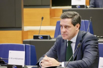 El eurodiputado del PP Raúl de la Hoz en una imagen de archivo.
