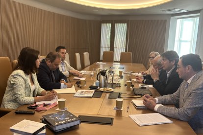 Imagen de la reunión celebrada en FAE.