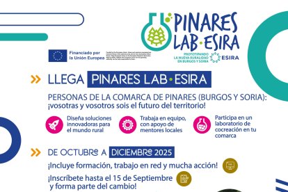 Cartel de Pinares Lab.