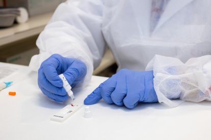 Archivo - Guantes de nitrilo del personal sanitario como los ofrecidos por el encausado.
