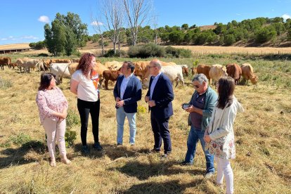 El director general de Desarrollo Rural de la Consejería, Jorge Izquierdo, durant su visita al municipio de Moreruela de los Inanzones, Zamora.