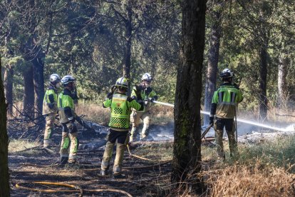 Un grupo de bomberos trabaja en la extinción del fuego en el Castillo.