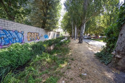 Estado actual de la zona que se quiere rehabilitar.