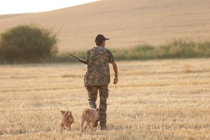 Primera jornada de la media veda de caza.