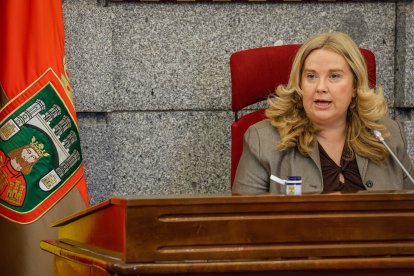 Ayala en un Pleno muncipal.