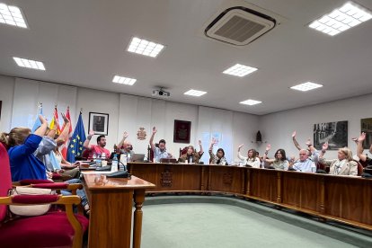 Imagen de la votación del Pleno extraordinario celebrado esta mañana