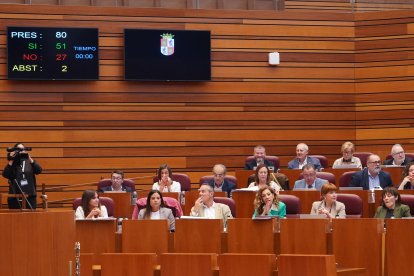Segunda sesión del Pleno de las Cortes de Castilla y León.