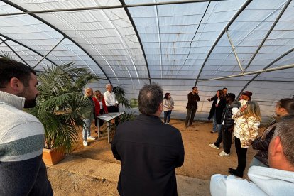 Entrega de diplomas a los alumnos del Programa de Empleo Coleverde.