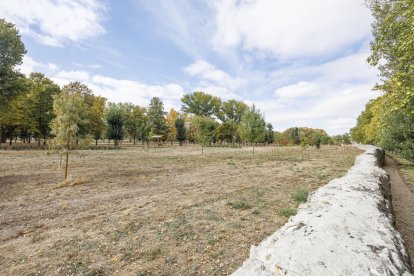 Los colores del otoño se dejan ver ya en el parque del Parral.
