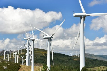 Parque eólico.- Archivo.