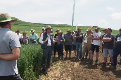 Los campos de ensayo de Bureba Ebro permiten probar la productividad y resistencia de una amplia variedad de semillas certificadas.