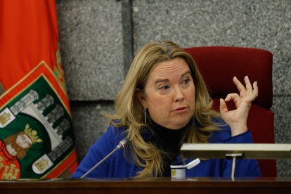 Un momento del Pleno ordinario de noviembre, en el Ayuntamiento de Burgos.