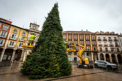 Imagen del árbol de Navidad en la Plaza Mayor.