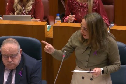La consejera de Agricultura y Ganadería, María González Corral, durante el Pleno de las Cortes.