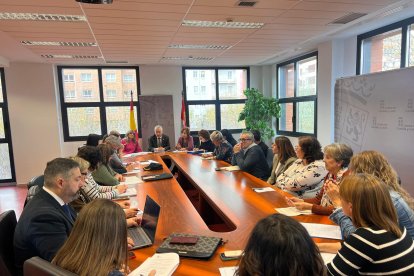 Imagen de la reunión de la Comisión Territorial contra la Violencia de Género.