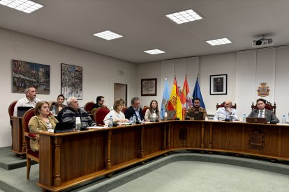 Imagen de un momento del pleno