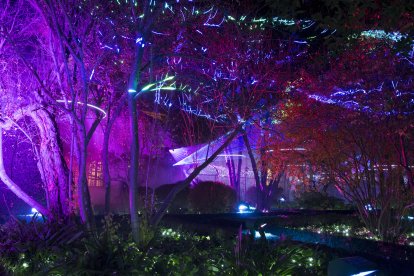 inauguración de la iluminación navideña del Huerto de Calixto y Melibea.