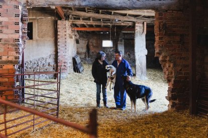 Marca de calidad IGP Lechazo de Castilla y León, en Cubillo de Ojeda.