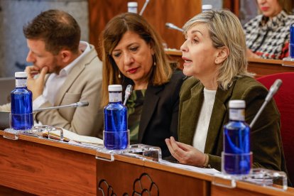 Un momento del Pleno ordinario de enero en el Ayuntamiento de Burgos.