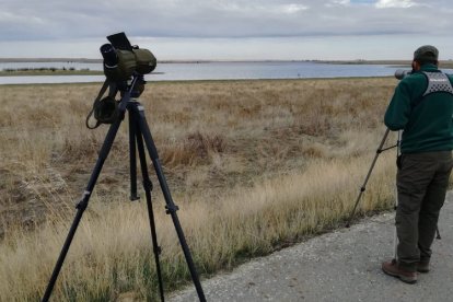 Archivo - Observación aves acuáticas en humedales de Castilla y León.