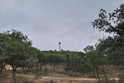 Imagen del monte de la Calabaza, que cumple 600 años como propiedad de Aranda