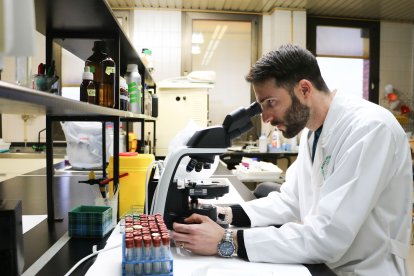 El investigador de la ULE Raúl Pérez Caballero ha realizado un estudio centrado en las principales parasitosis transmitidas a través de los alimentos.