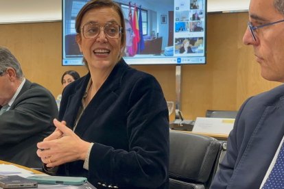 La presidenta de la Federación Regional de Municiipios y Provincias de Castilla y León y de la Diputación de Palencia, Ángeles Armisén, durante la reunión de la Comisión Interministerial.