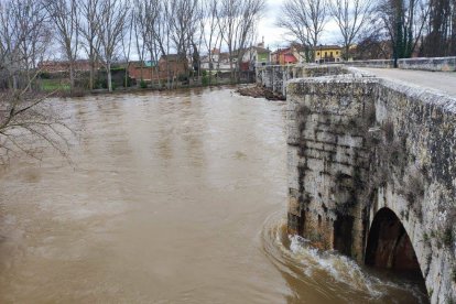 Imagen del río Arlanza a la altura del Puente Romano en Quintana del Puente (Palencia).