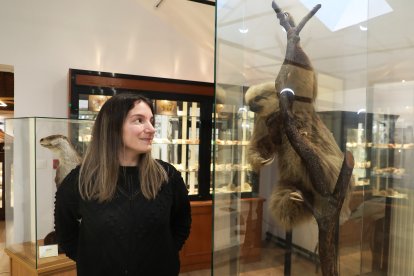 El Museo del arquitecto Jerónimo Arroyo; el espacio de Ciencia y Humanismo en la torre observatorio; y las tres salas del Museo de Ciencias Naturales conforman un recorrido que sorprende incluso a antiguos alumnos, en la imagen la bióloga y coordinadora de los museos, Verónica Viñas, junto a un ejemplar de Perezoso naturalizado.