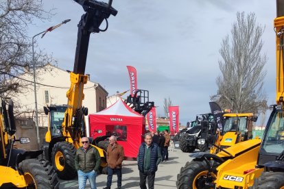 Ediciones anteriores de la Feria del Ángel y de Caballo en Fuentepelayo.