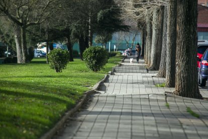 Estado de la acera del parque Buenavista, que el PSOE tilda de "lamentable".