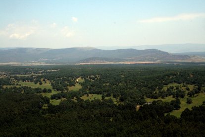 Archivo - Monte de Valonsadero (Soria).