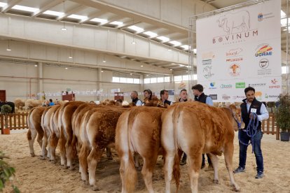 El presidente de la Diputación de Salamanca, Javier Iglesias, inaugura la feria Bovinum 2026.