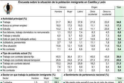 Encuesta sobre la situación de la población inmigrante en Castilla y León (15cmx16cm).