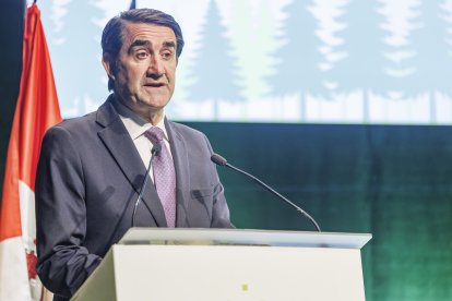 El consejero de Urbanismo, Juan Carlos Suárez-Quiñones, en el Fórum Evolución.