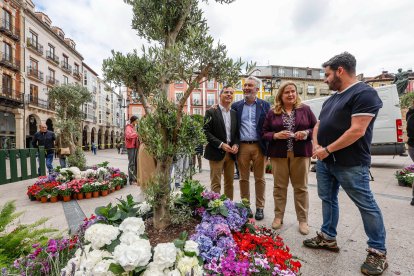 La alcaldesa, Cristina Ayala, recorrió la decoración floral que va a tener la Plaza Mayor, un jardín portugués.