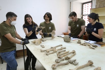 Parte del equipo internacional de arqueólogos y estudiantes trabaja para desentrañar los secretos de cientos de personas enterradas allí entre los siglos XII y XV.