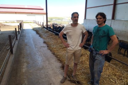 Los hermanos Porres son los responsables de FPD Agro, explotación de caprino en Tordómar.