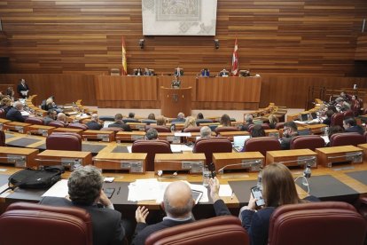 Pleno de las Cortes de Castilla y León.