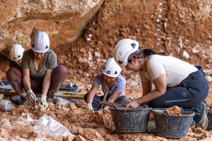 Un grupo de excavadores analizan las cuadrículas del yacimiento de Galería.