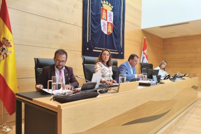 La consejera de Medio Ambiente y Energía de Castilla y León, María González Corral, durante su comparecencia en las Cortes para explicar las línes de su departamento durante la legislatura.