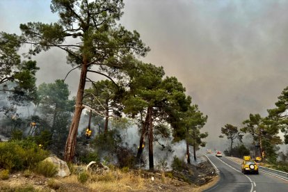 Incendio en Navaluenga.
